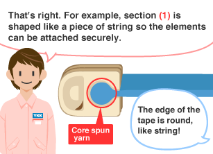 YKK employee: That's right. For example, section (1) is shaped like a piece of string so the elements can be attached securely. Student: The edge of the tape is round, like string!
