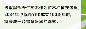 选取黑部野生树木作为苗木种植在这里，2034年也就是YKK成立100周年时，将长成一片绿意盎然的森林。