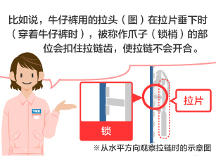 比如说，牛仔裤用的拉头(图)在拉片垂下时(穿着牛仔裤时)，被称作爪子(锁梢)的部位会扣住拉链齿，使拉链不会开合。 ※从水平方向观察拉链时的示意图