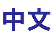 中文