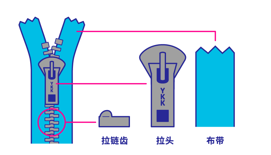 1.拉链齿=相互咬合的链牙部分/2.拉头=用手拿着拉动的部分/3.布带=布料部分
