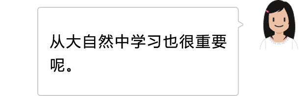 从大自然中学习也很重要呢。