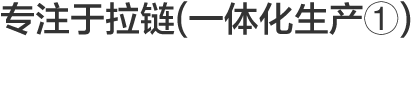 Vol.1 专注于拉链(一体化生产①)