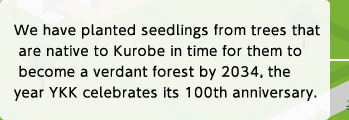 We have planted seedlings from trees that are native to Kurobe in time for them to become a verdant forest by 2034, the year YKK celebrates its 100th anniversary.